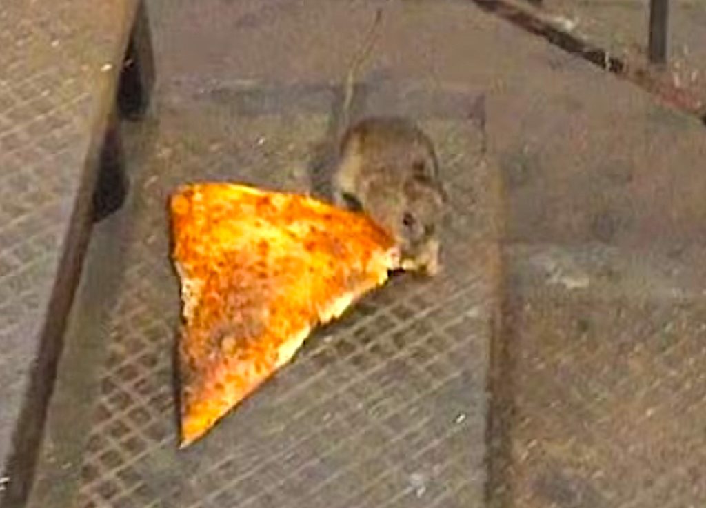 Pizza Rat 1200x