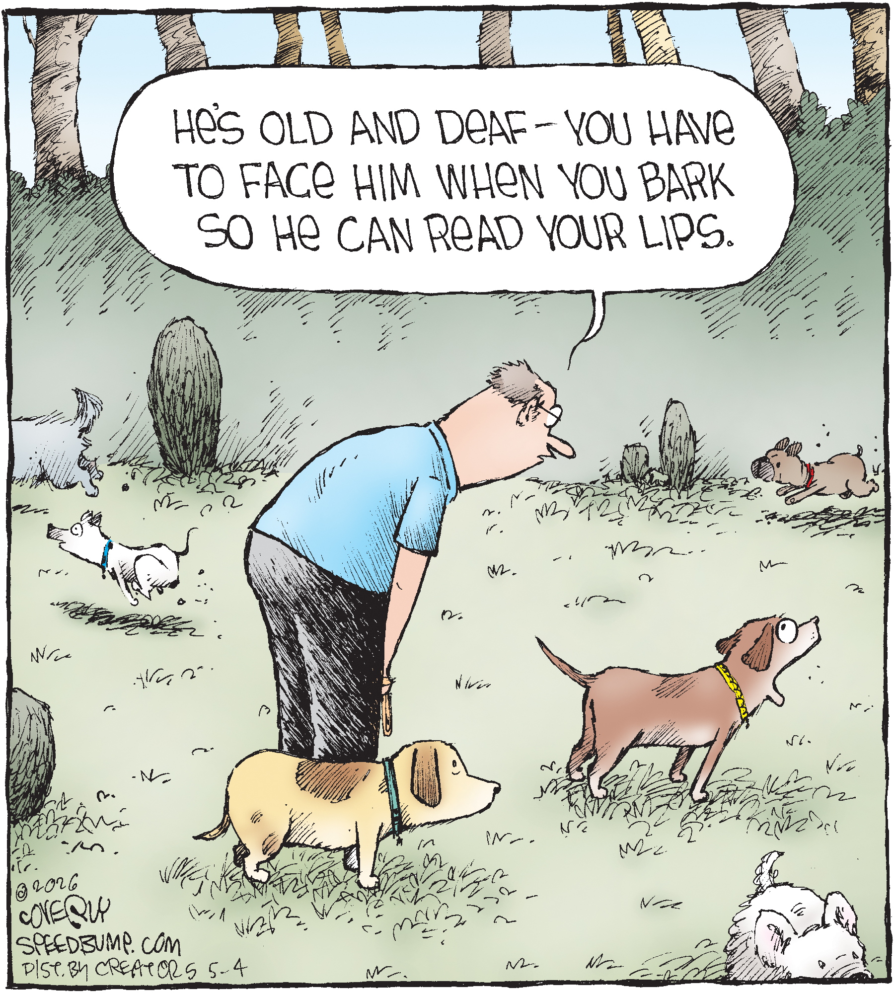 Current Comic Stips The Latest Comic Strips From The Creators Syndicate (5/4) - Odd News